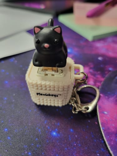 Customer photo review of Meowkey - Fidget Toy that Meows!
