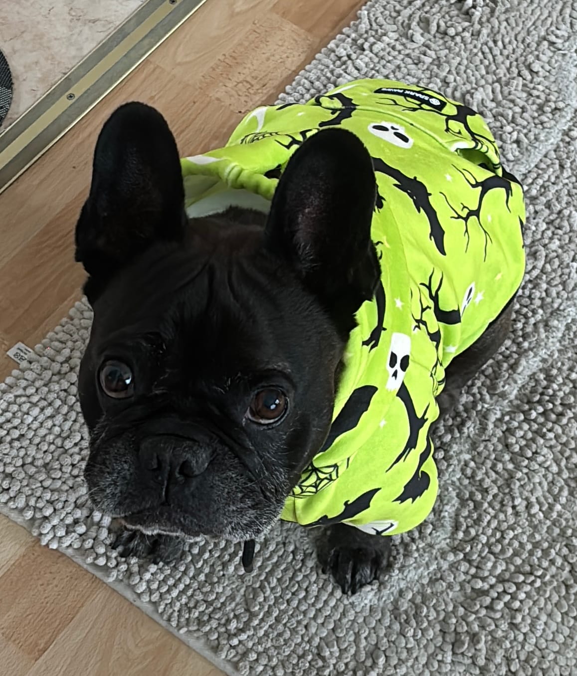 Customer photo review of Halloween Human Hoodies (Limited Edition)