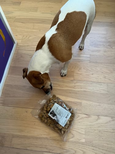 Customer photo review of Snack'it - Soft Rings m. Kylling, 500g (datovare)