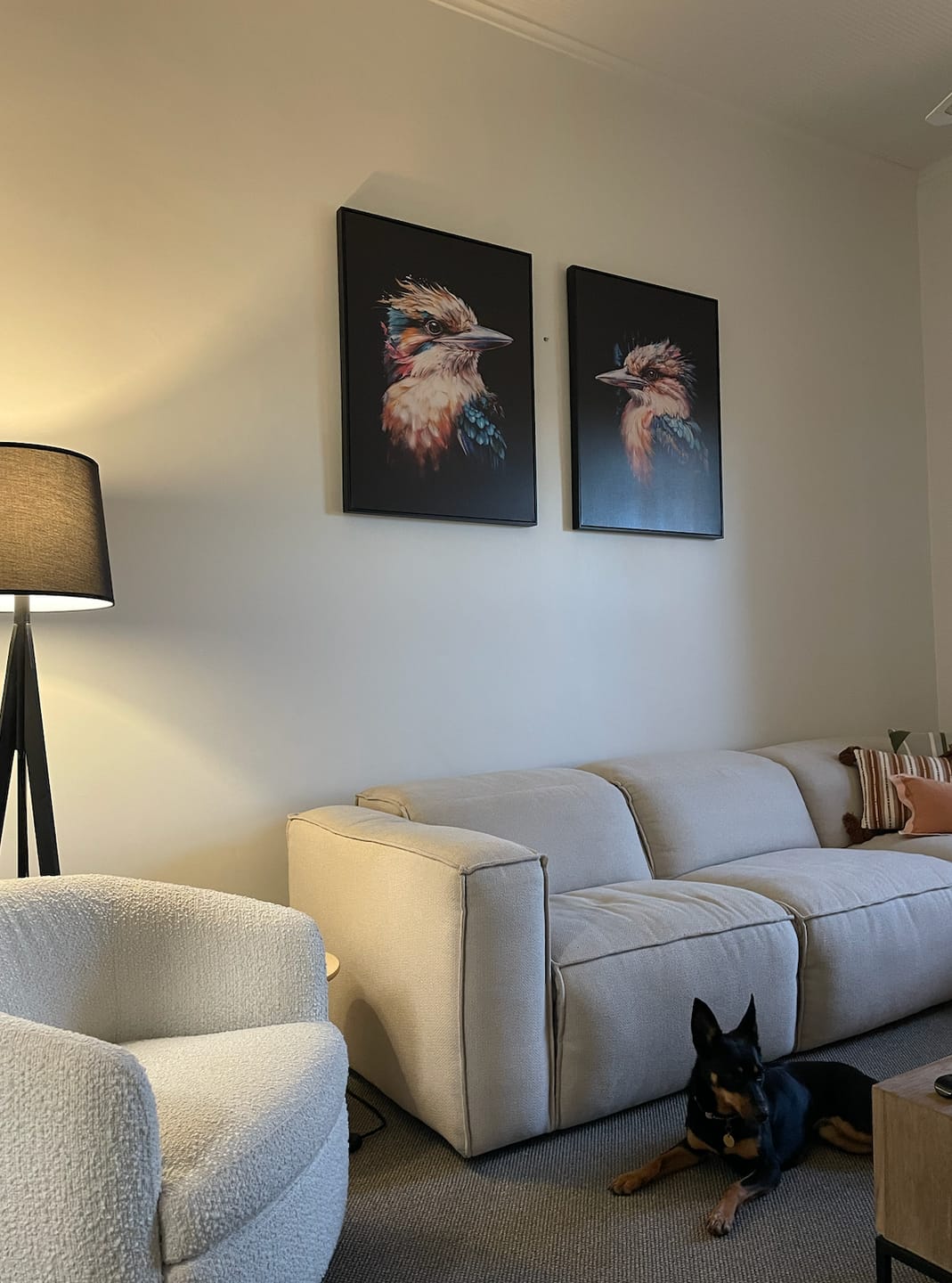 Customer photo review of KOOKABURRA IN WATERCOLOUR I I CANVAS