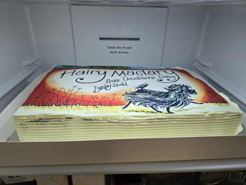 Customer photo review of A3 Rectangle Custom Edible Icing Image