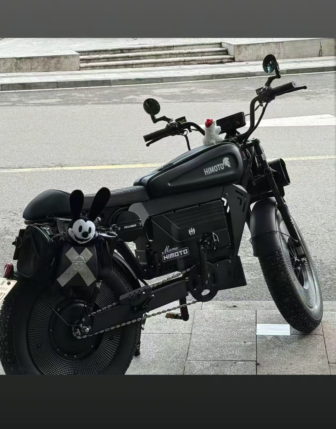 Customer photo review of SoverSky Knight /Black Warrior Electric Fat Tire Bike