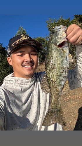 Customer photo review of 8Ft No Excuses Travel Rod with Tube Medium-Heavy Action 1/2oz to 2oz