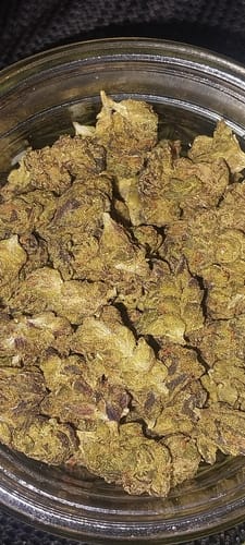 Customer photo review of Cakemera Minis - Bulk Minis - Indica