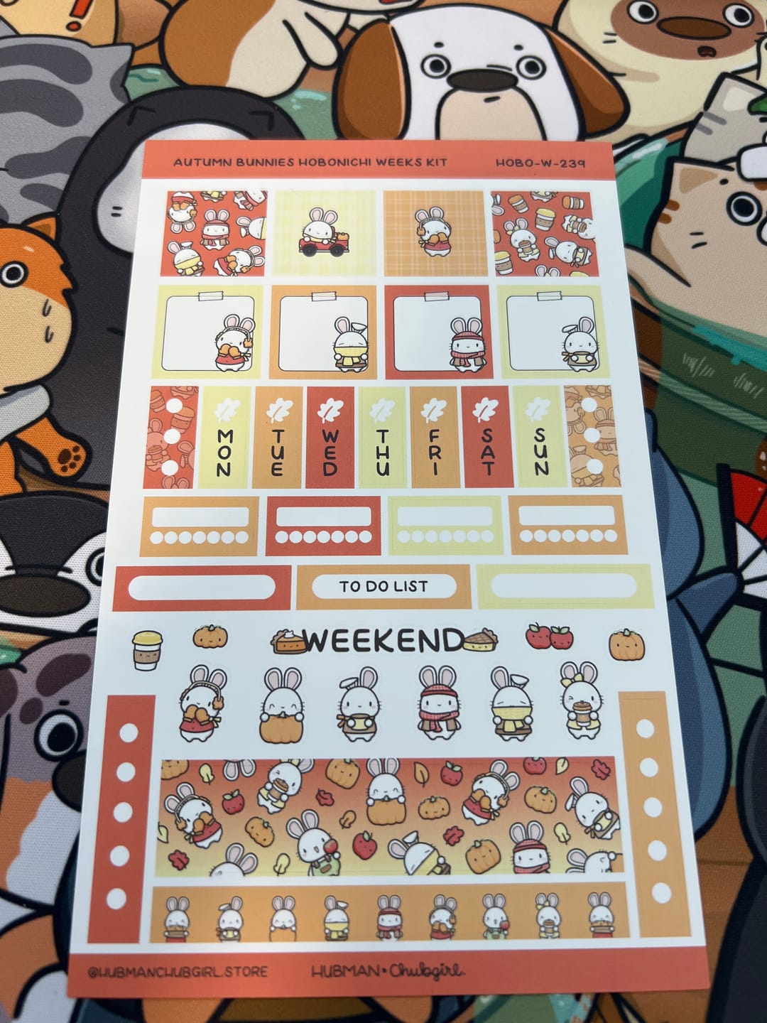 Customer photo review of Autumn Bunnies Theme Hobonichi Weeks Kit