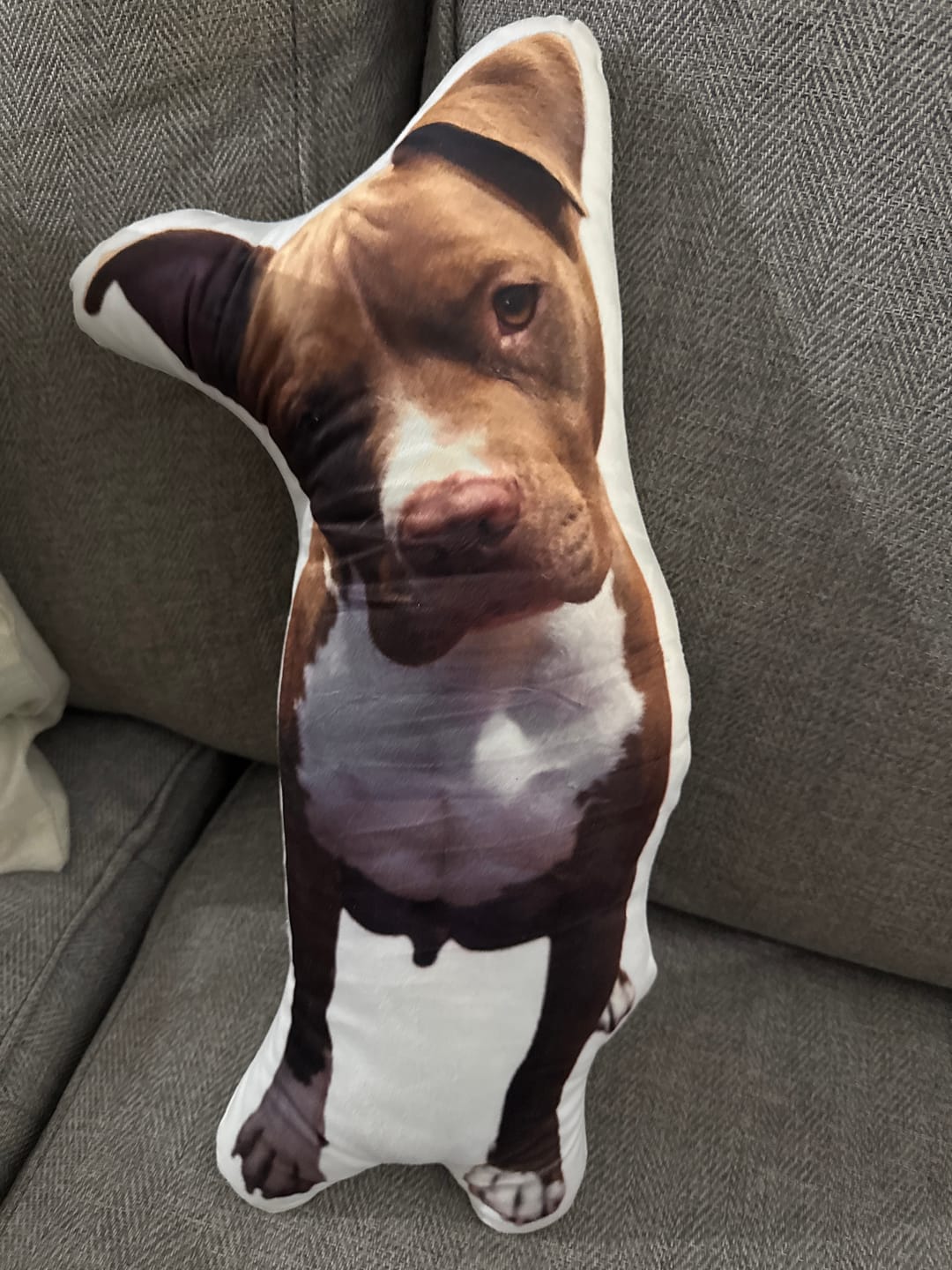 Customer photo review of Pet Pillow Looks Like Your Pet, Customize Dog Shaped Pillow with Pet Photo - ThePetPillow