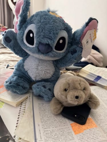 Customer photo review of Disney Stitch Soft Plush Toys