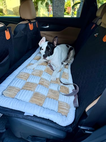Customer photo review of RuffRover 2.0™ - Hard Bottom Back Seat Extender + (FREE Dog Bed)