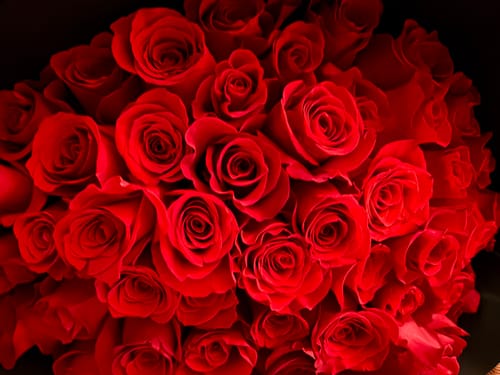 Customer photo review of Red Rose Bouquet