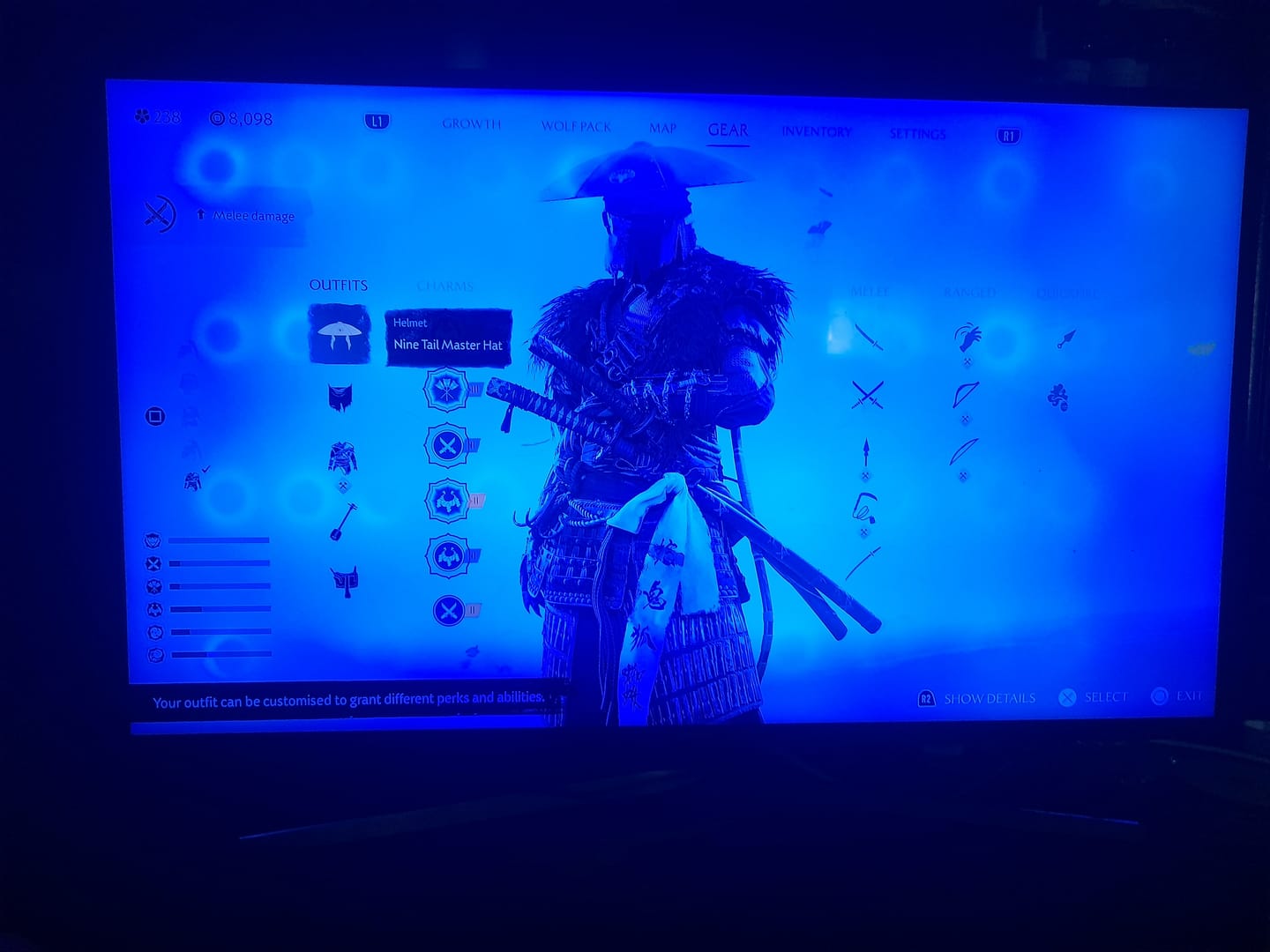 Customer photo review of Ghost of Yōtei (PS5)