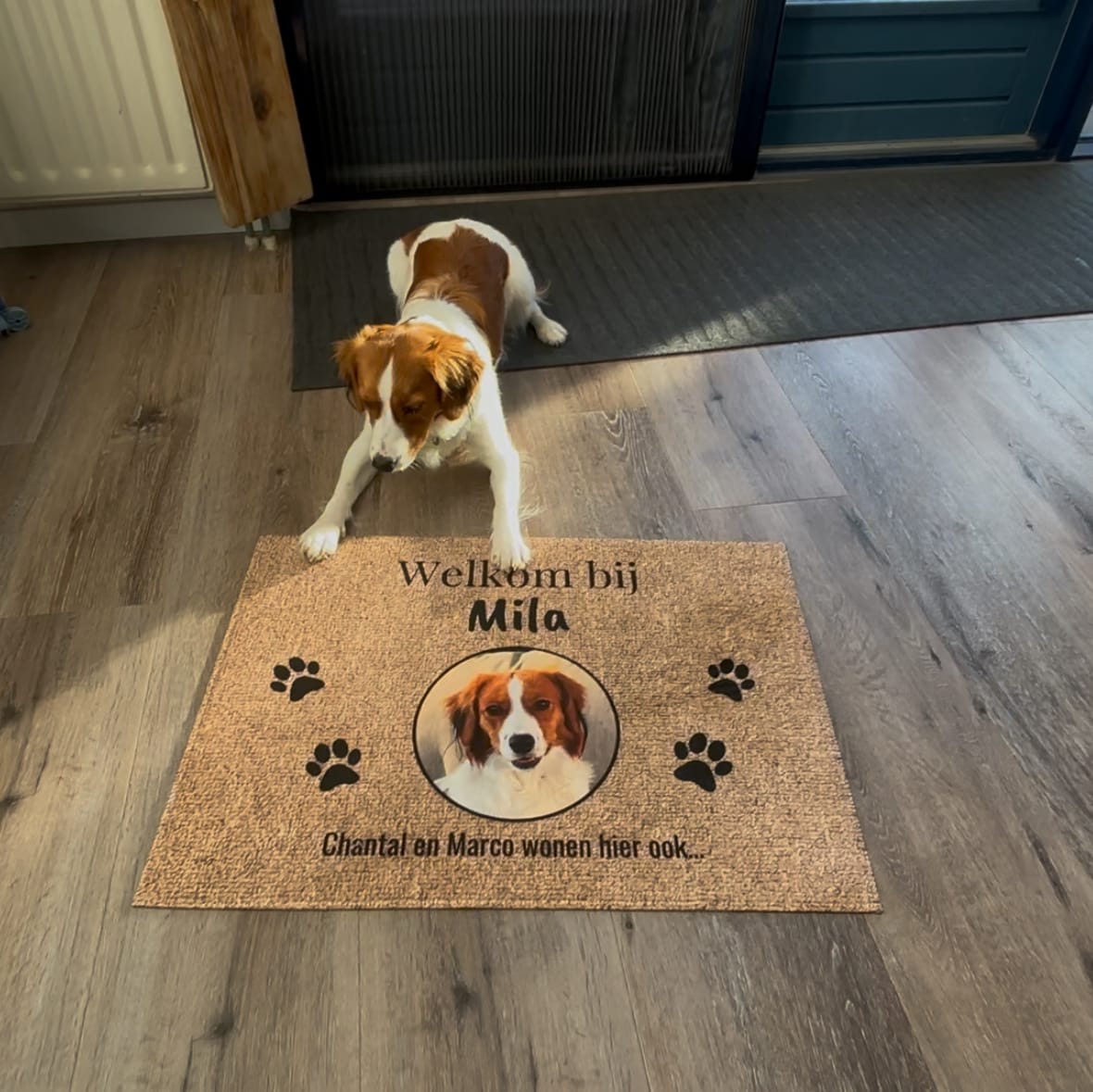 Customer photo review of Eigen foto - Gepersonaliseerde huisdier deurmat