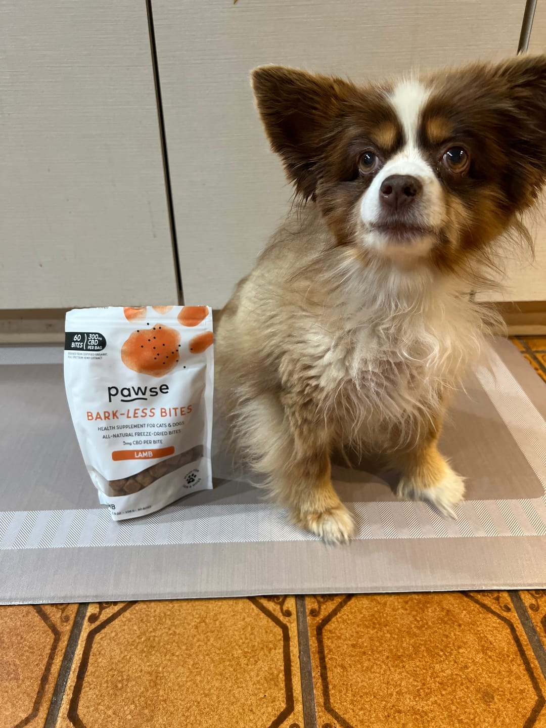 Customer photo review of Bark-Less Bites