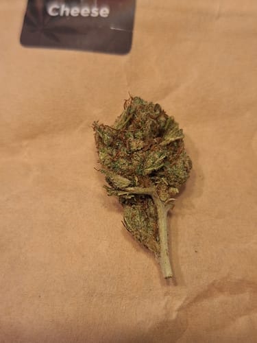 Customer photo review of Dutch Cheese Ökopack