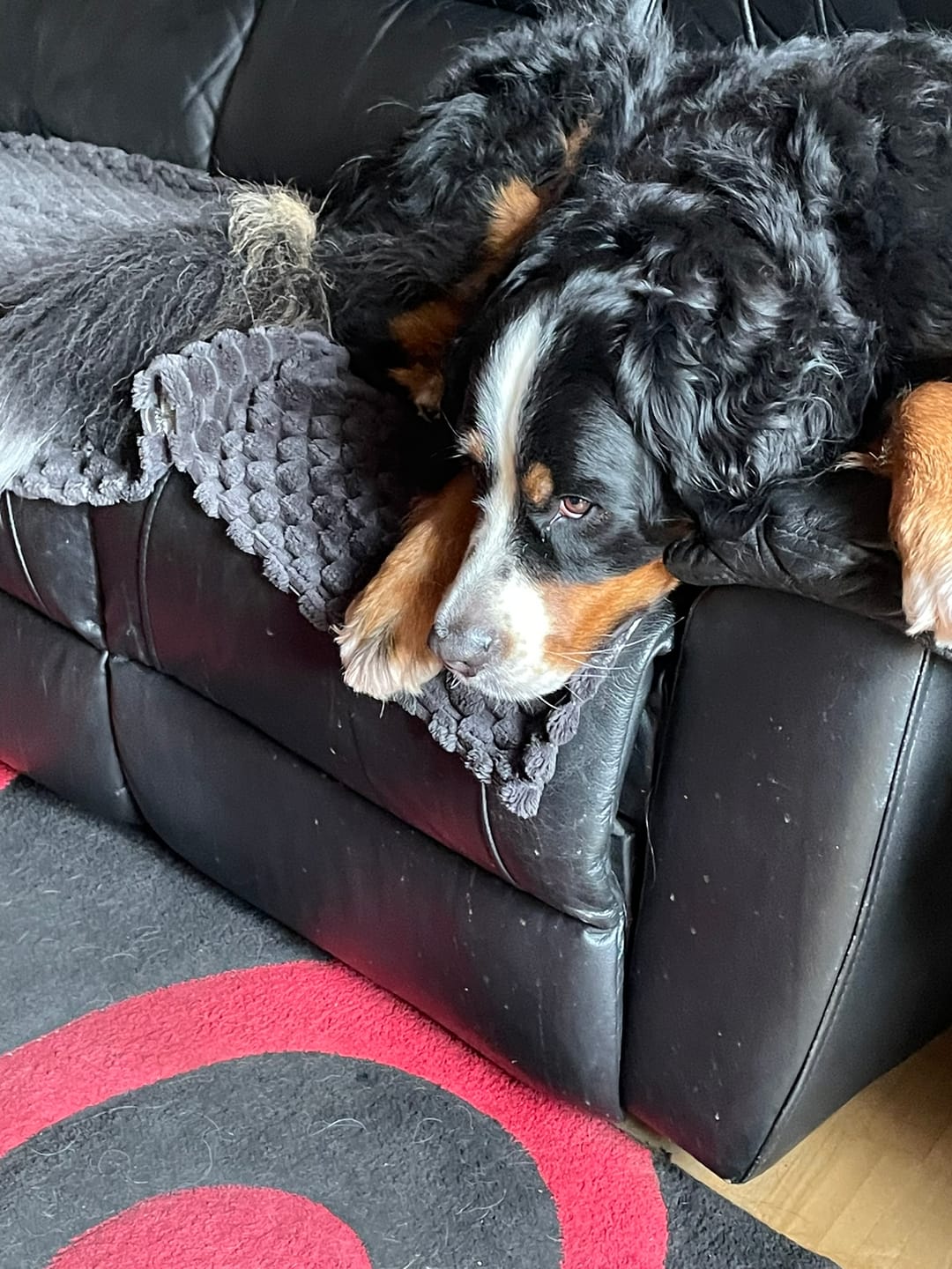 Customer photo review of Calm n' Relax: Für Ruhe & Entspannung