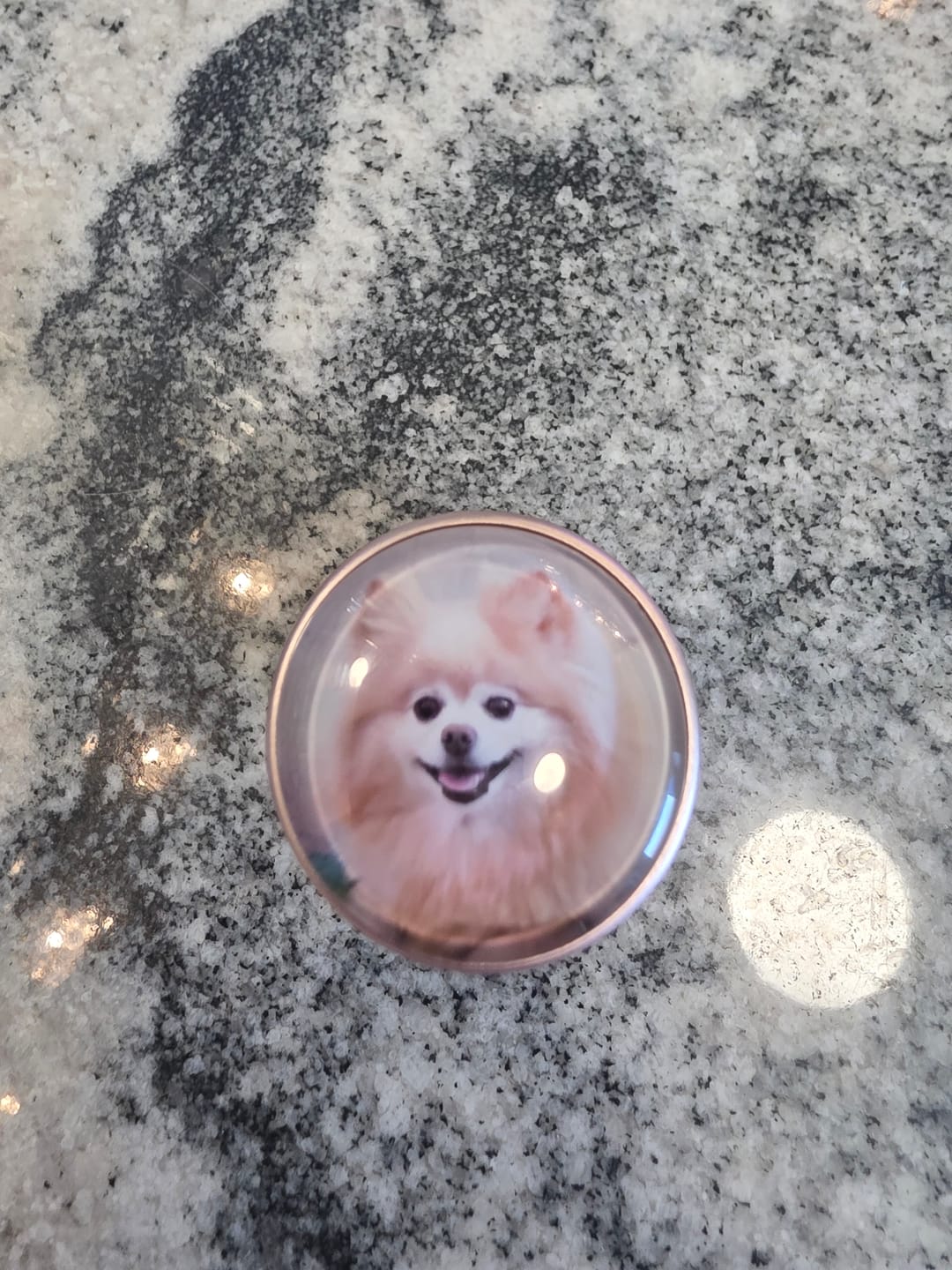 Customer photo review of Paw Prints Small Keepsake Urn for Pet