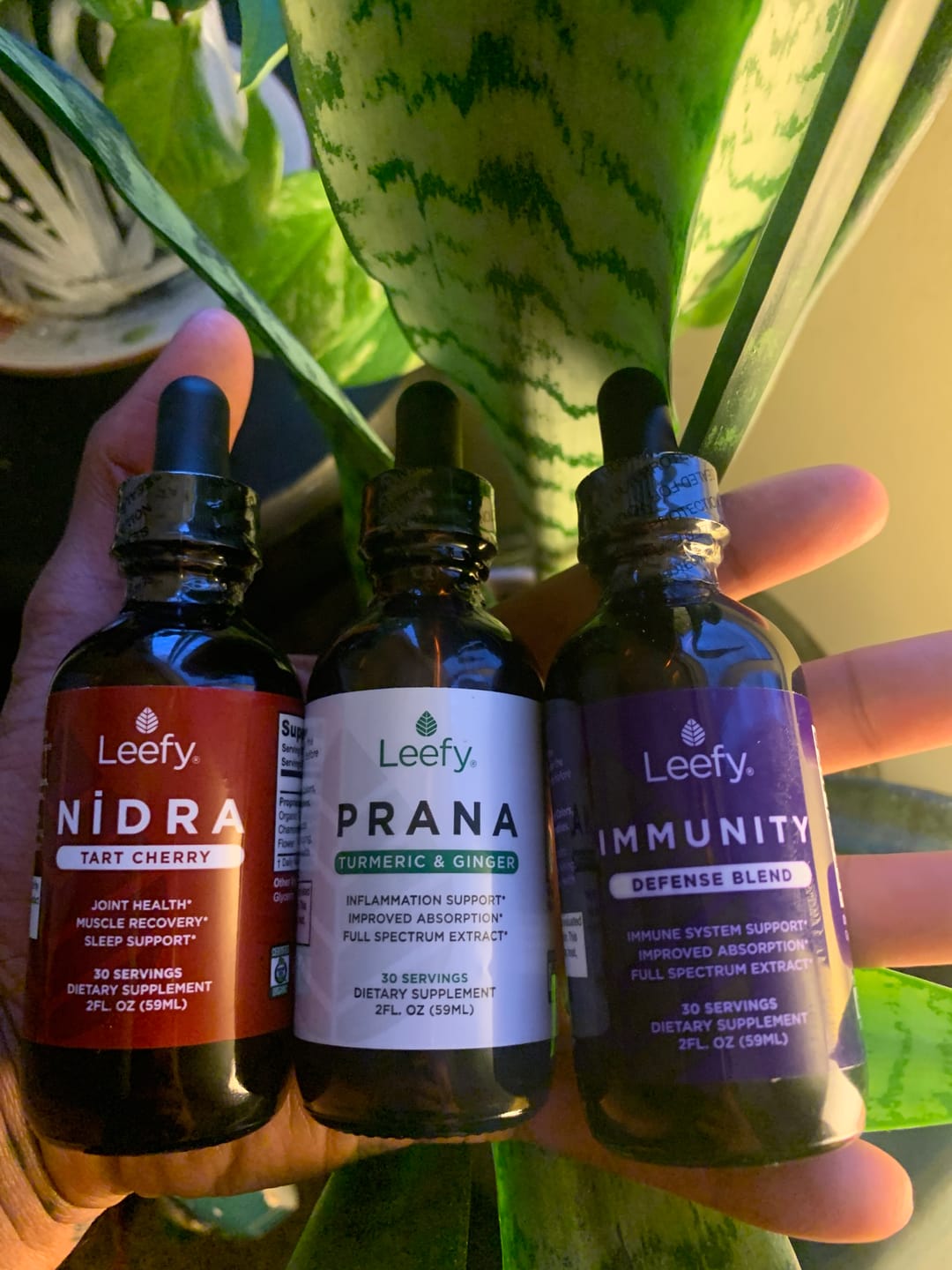 Customer photo review of PRANA