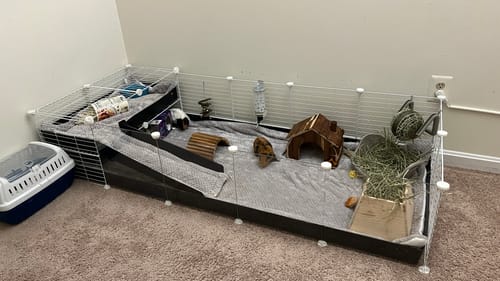 Customer photo review of 5x2 C&C Cage with Loft