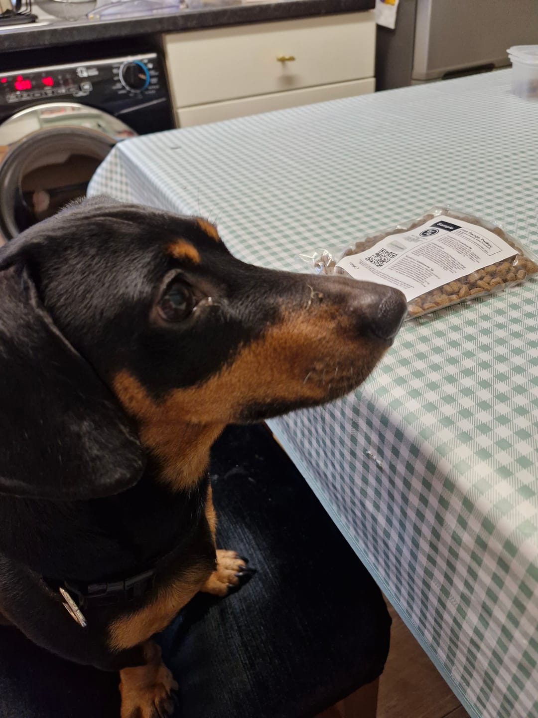 Customer photo review of Superfood Sample Pack