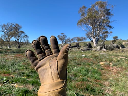 Customer photo review of The Vermonter