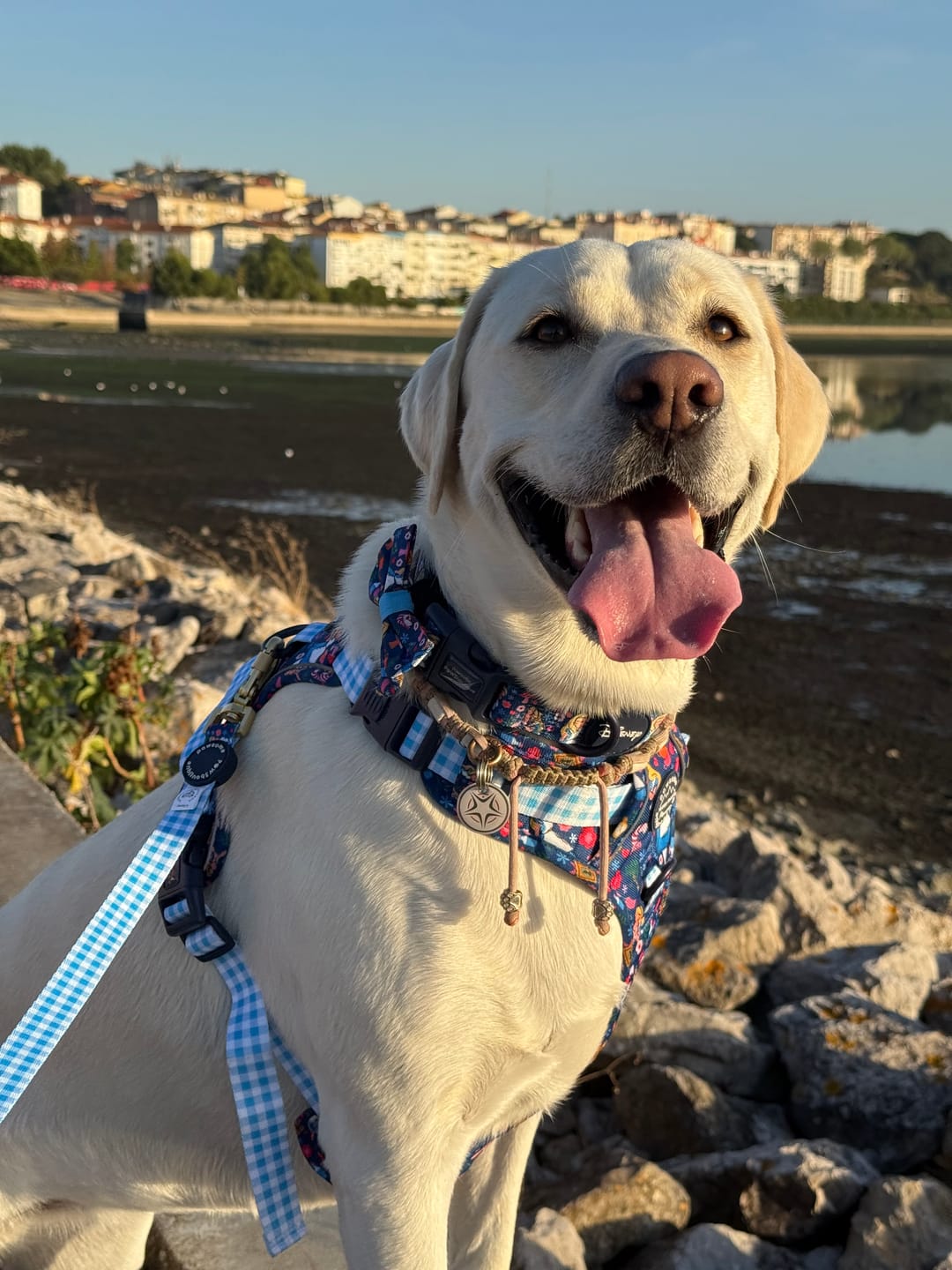 Customer photo review of Disney© Tough Trails™ Harness - Alice In Wonderland
