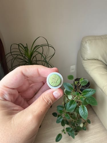 Customer photo review of Esfrega Boquinha Kiwi