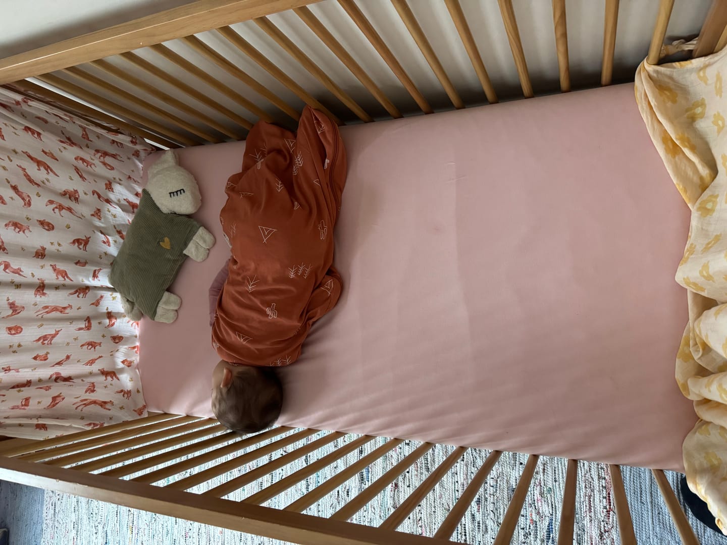 Customer photo review of Ecolino® Organic Cotton Classic Baby Sleep Bag or Sack, Desert