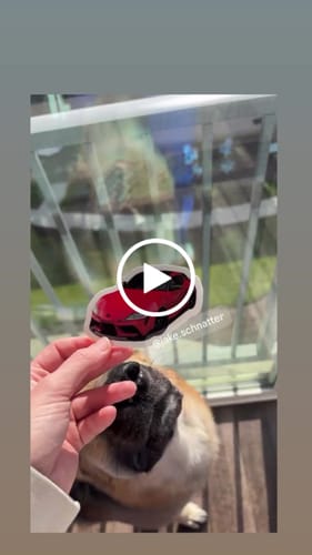 Peyton B. review of Limited Supra Sticker image 1 out of 1