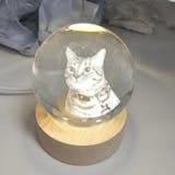 Customer photo review of Ashton Memory Globes