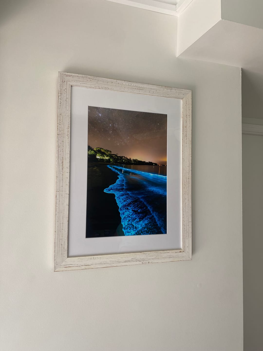 Customer photo review of Electric Blue Bioluminescence | Vertical