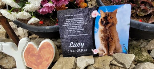 Customer photo review of Katzen Gedenktafel mit Foto & Spruch (UV- & Wetterfest)
