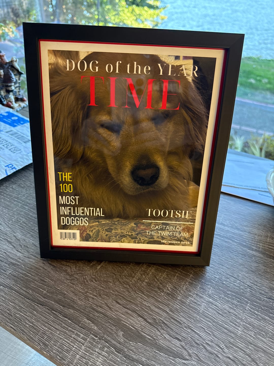 Customer photo review of Pet Portrait Magazine Cover