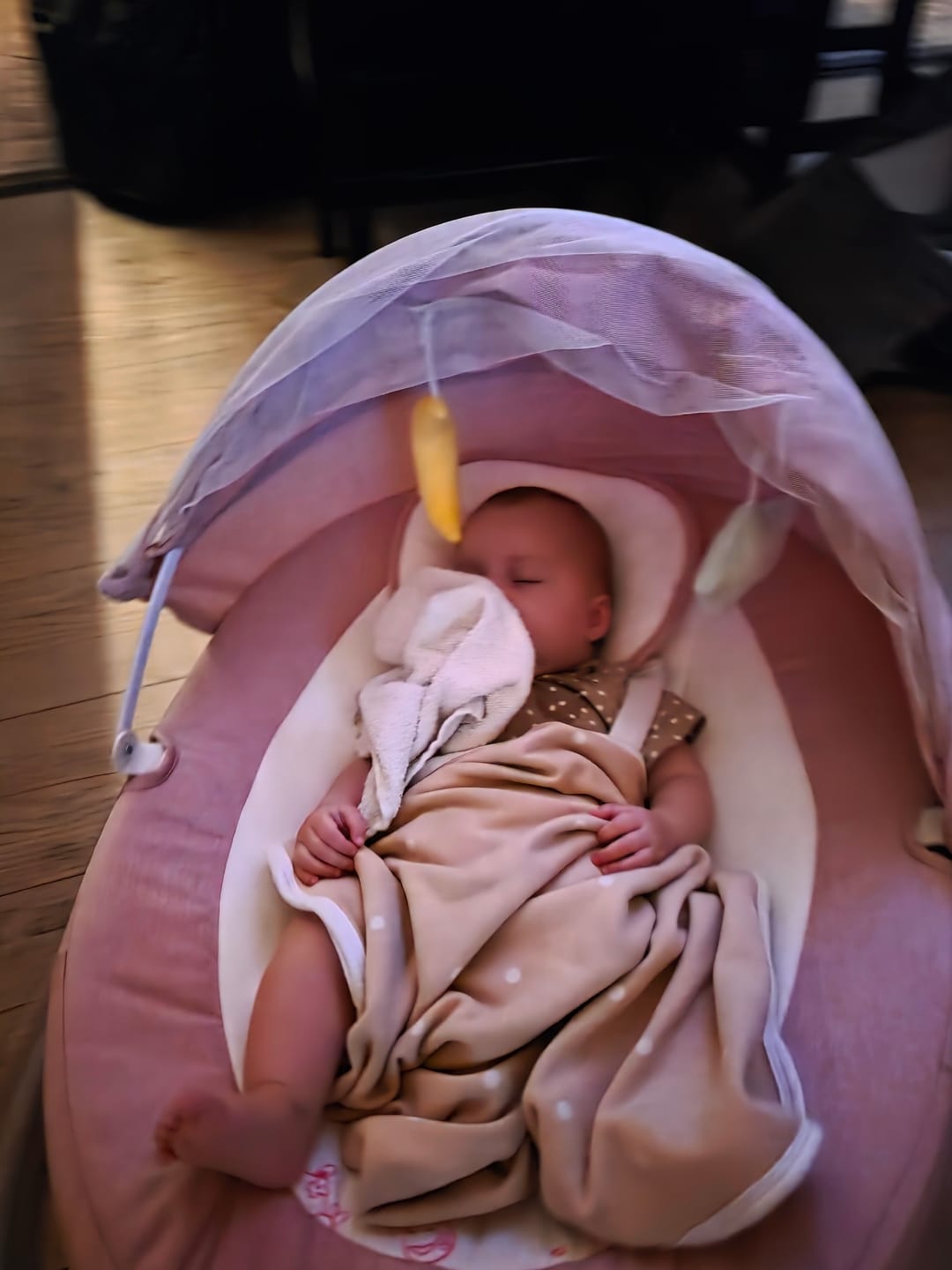 Customer photo review of Babygunga Elektrisk med Myggnät & LED Display by LV