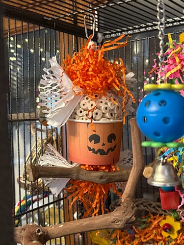 Customer photo review of 2710 Halloween Pumpkin Dish