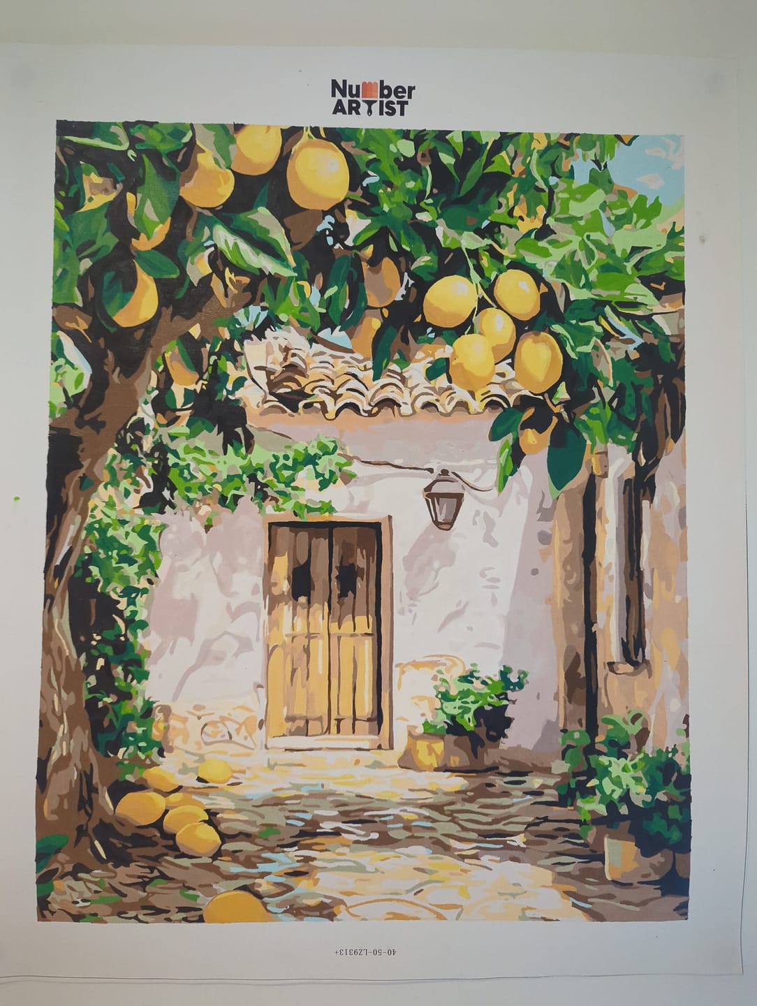 Customer photo review of Lemon Yard