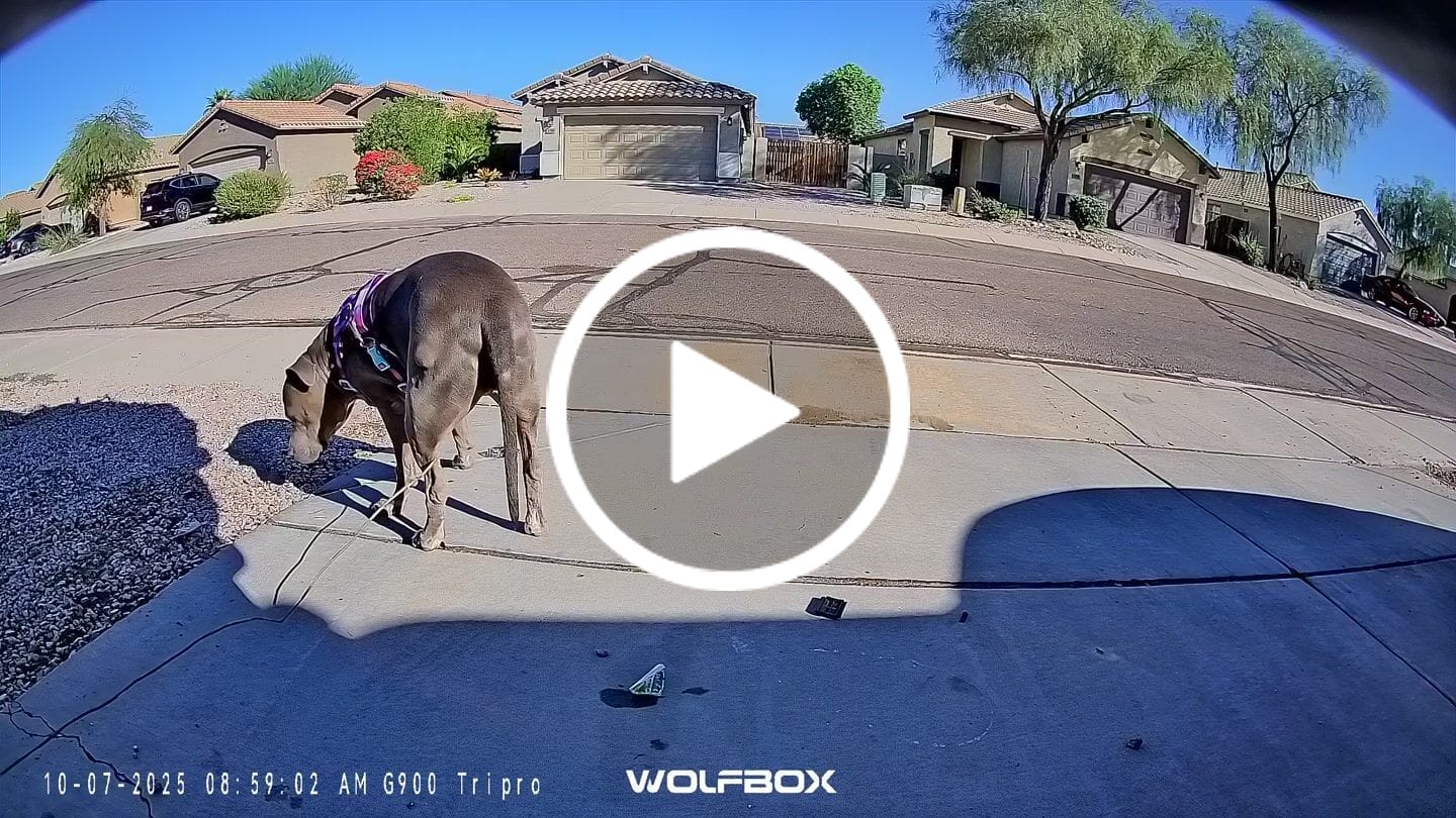 Customer video review of WOLFBOX G900 TriPro Bumper Version 3 Channel Rearview Mirror Dash Camera Mirror