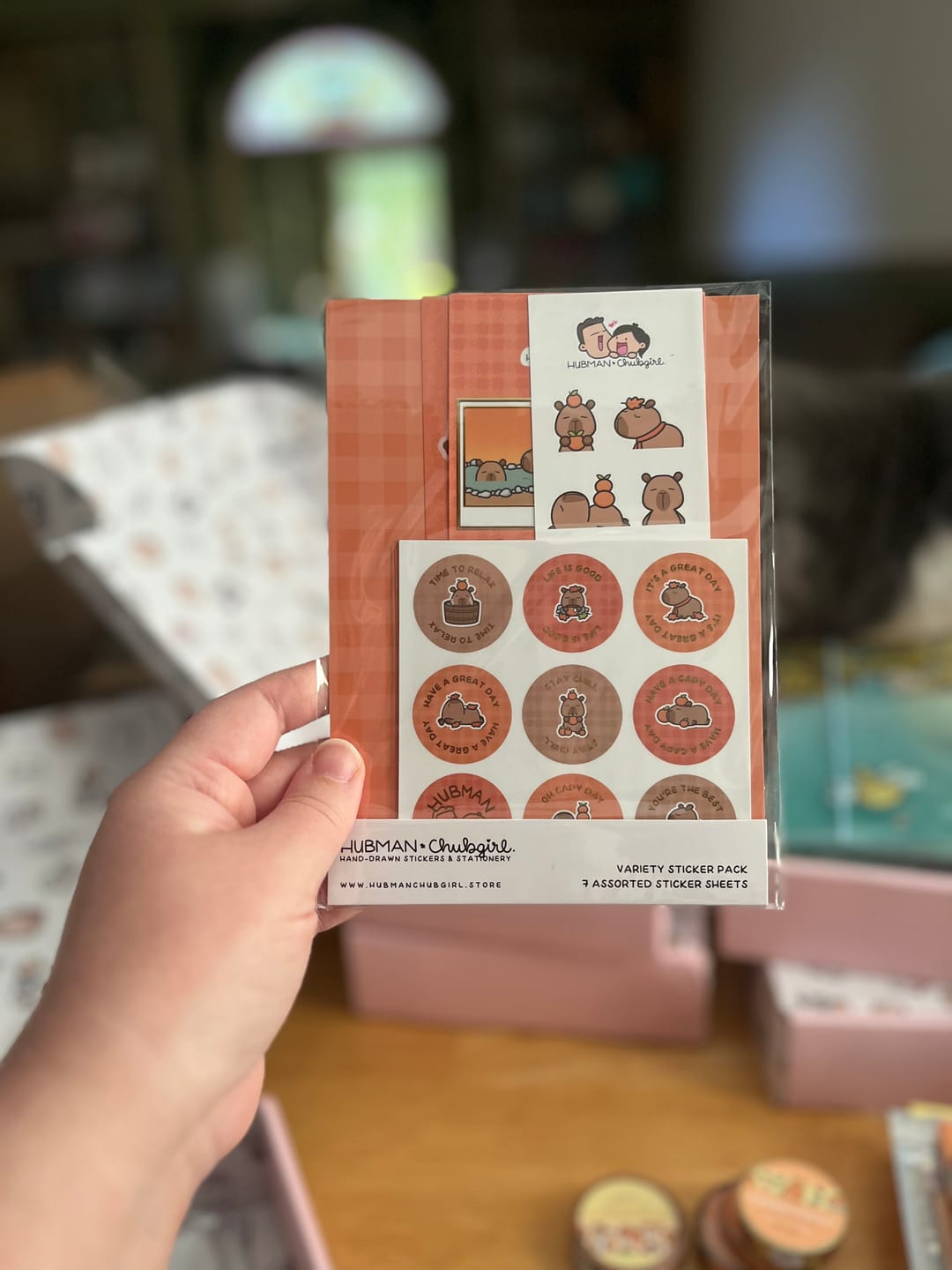 Customer photo review of Autumn Capybaras Variety Sticker Pack