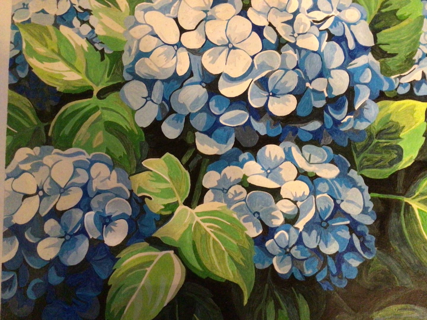 Customer photo review of Clustered Hydrangeas
