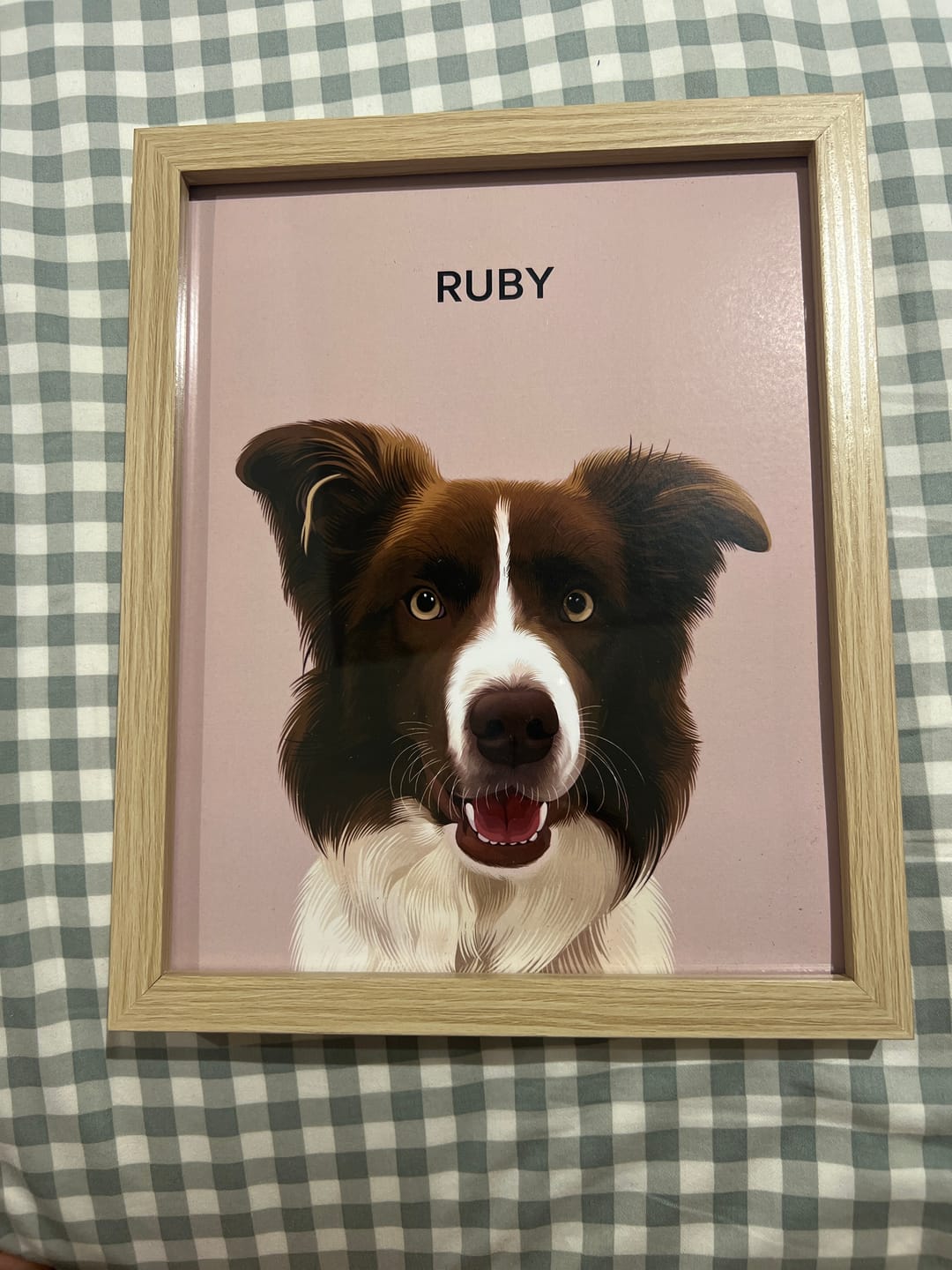 Customer photo review of 1 Pet