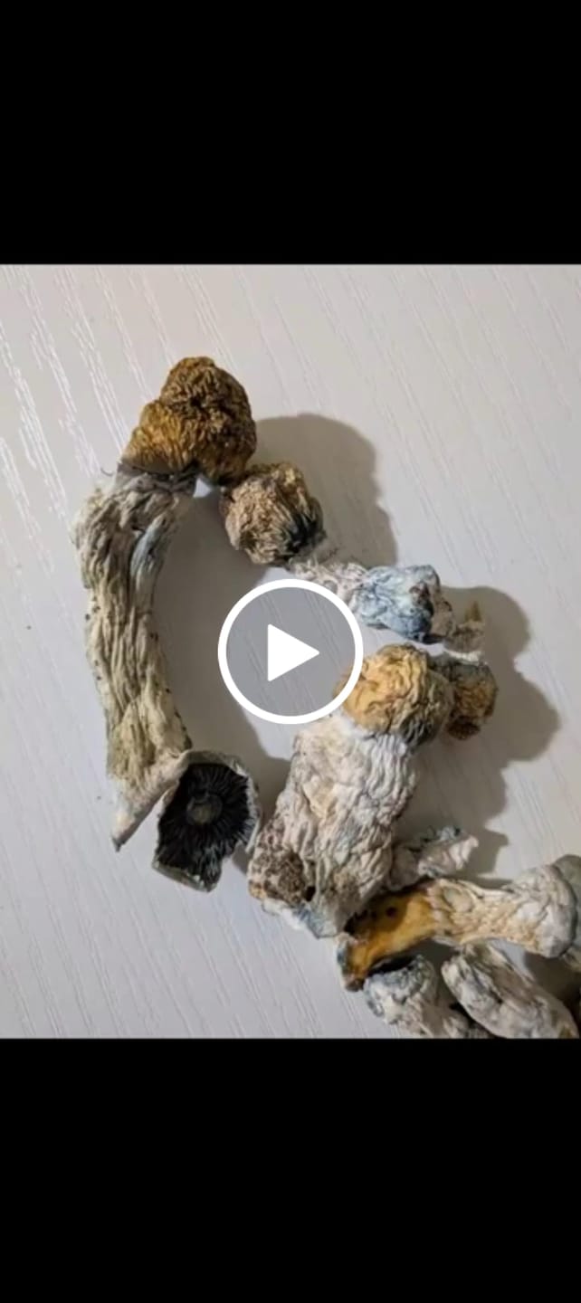 Customer video review of Non Detect Mushrooms