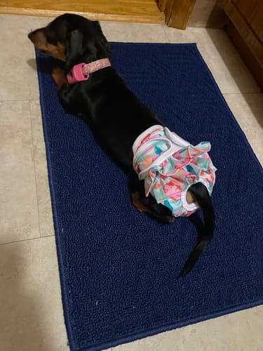 Reseña cliente FurLife