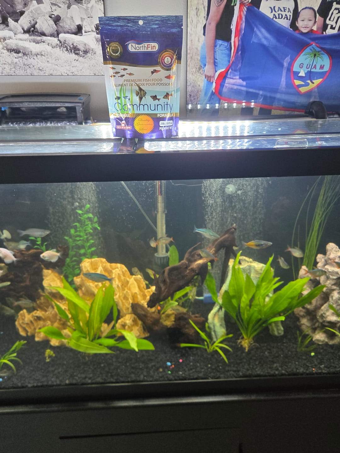 Customer photo review of Northfin Community Formula