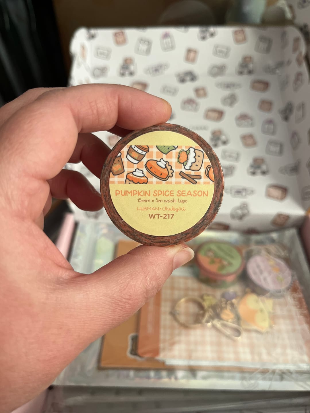 Customer photo review of Pumpkin Spice Washi Tapes (Set of 2)