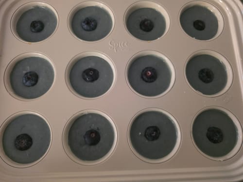 Customer photo review of Blue Dream Mediums - Bulk Mediums - Sativa