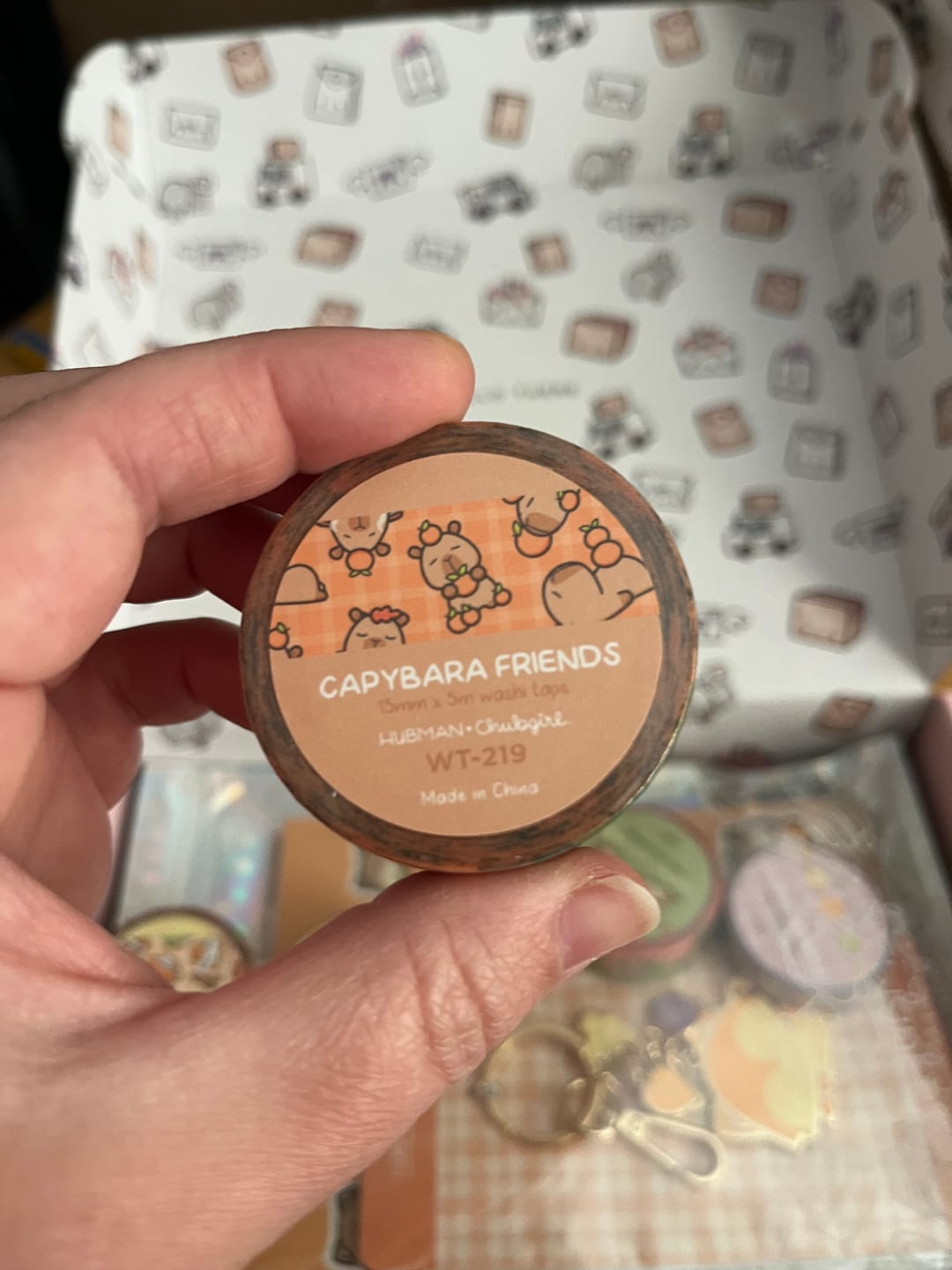 Customer photo review of Autumn Capybaras Washi Tapes (Set of 2)