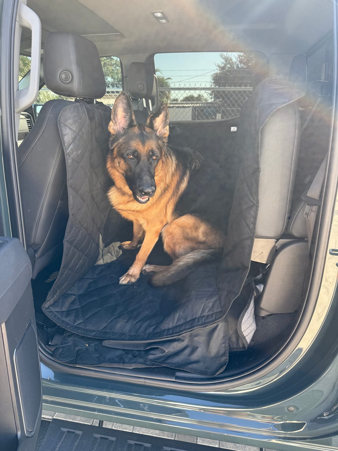Customer photo review of Floor Hammock for Crew Cab Trucks - Passenger Side
