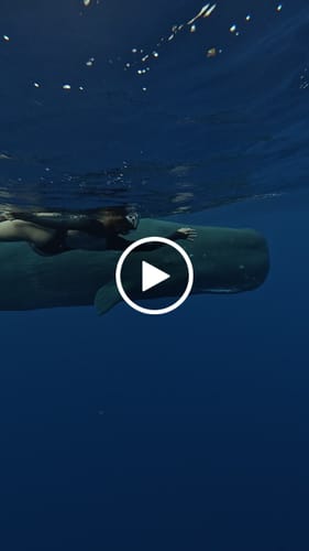 Customer video review of Luna Long Sleeve Swimwear