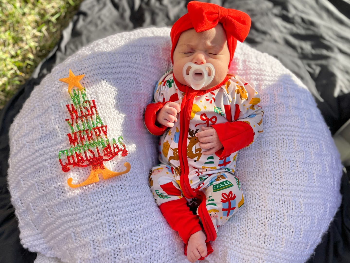 Customer photo review of Christmas Classic Zippy
