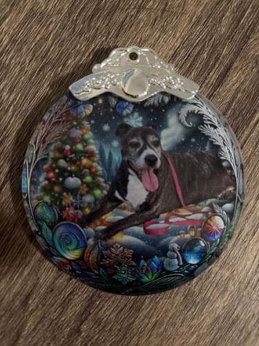 Customer photo review of Custom Photo Pets Globe Ball - Personalized Photo Ornament