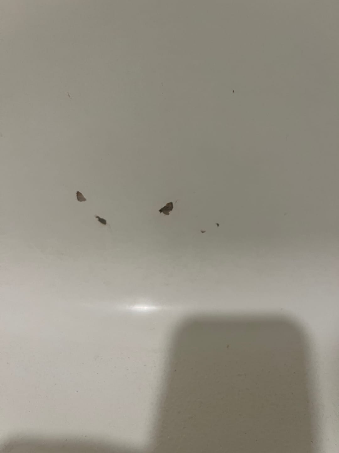 Customer photo review of Large Wall Damage - Tub and Shower Repair Kit
