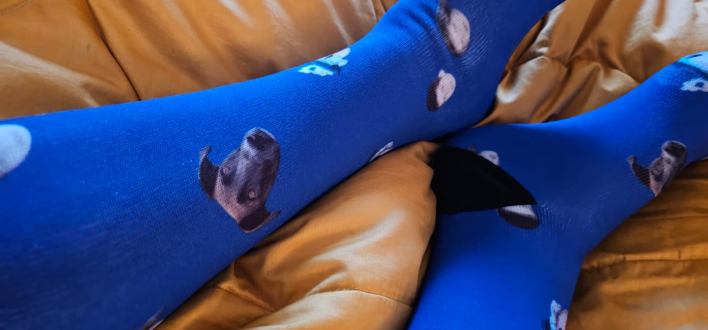 Customer photo review of FaceSock | Personalised Socks With Photo